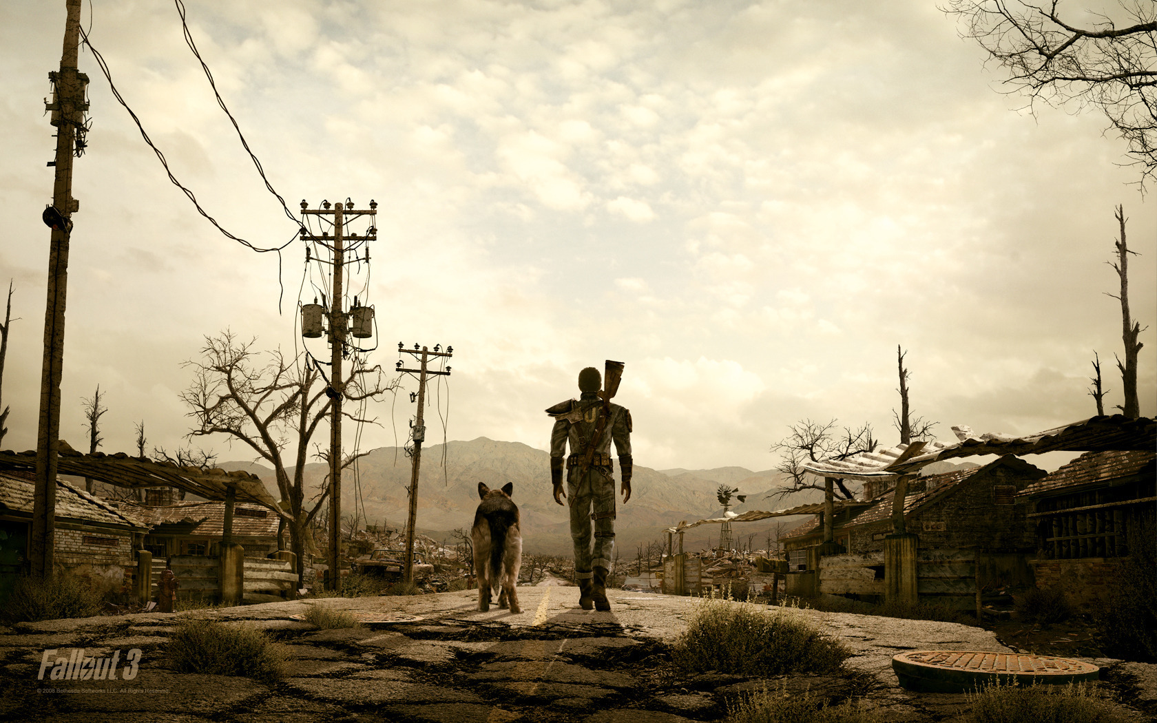 Lone_Wanderer