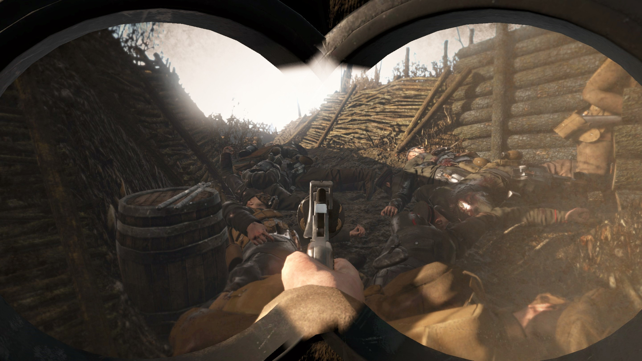 verdun trench carnage