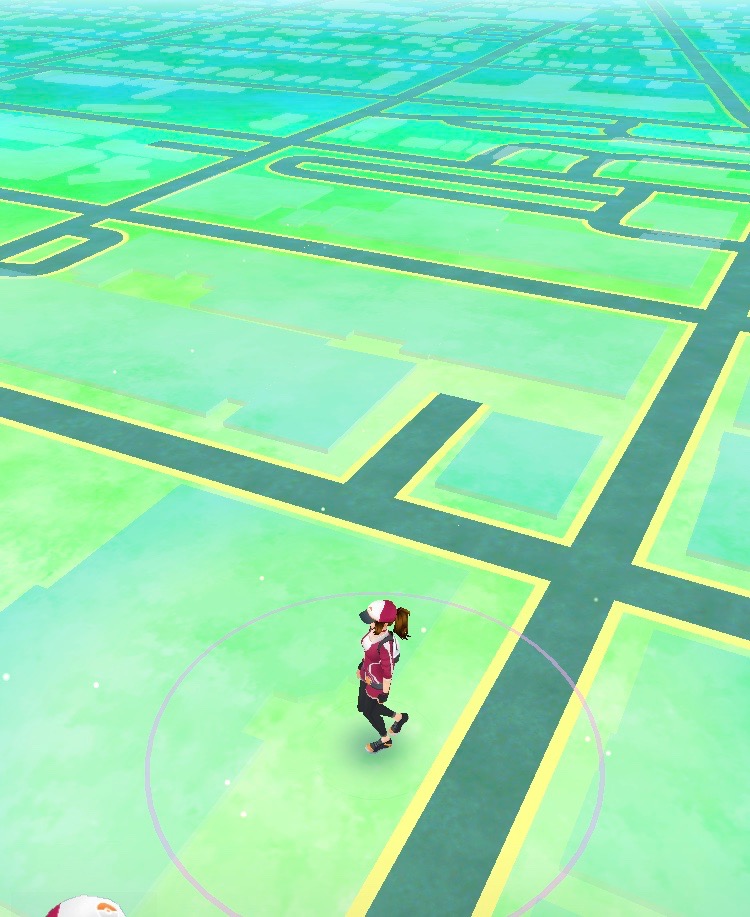 pokemon map empty.jpg