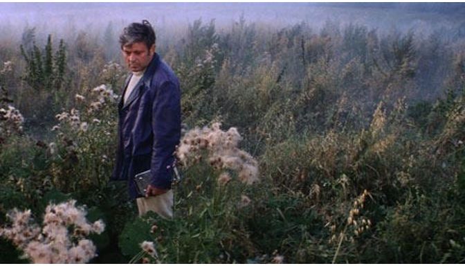 tarkovsky solaris.jpeg