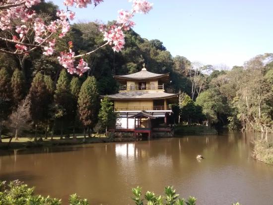templo-kinkaku-ji-do brasil